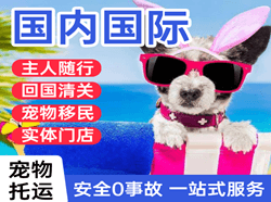 汉中城固航空空运国际宠物托运 【国